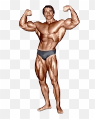 Arnold Schwarzenegger - Bodybuilding png