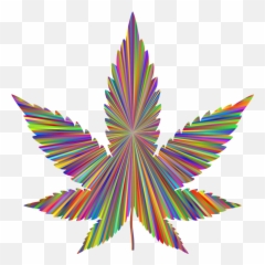 Graphic Design Plant Leaf Png Clipart - Free Vectorized Marijuana Leafs,Blunt Png