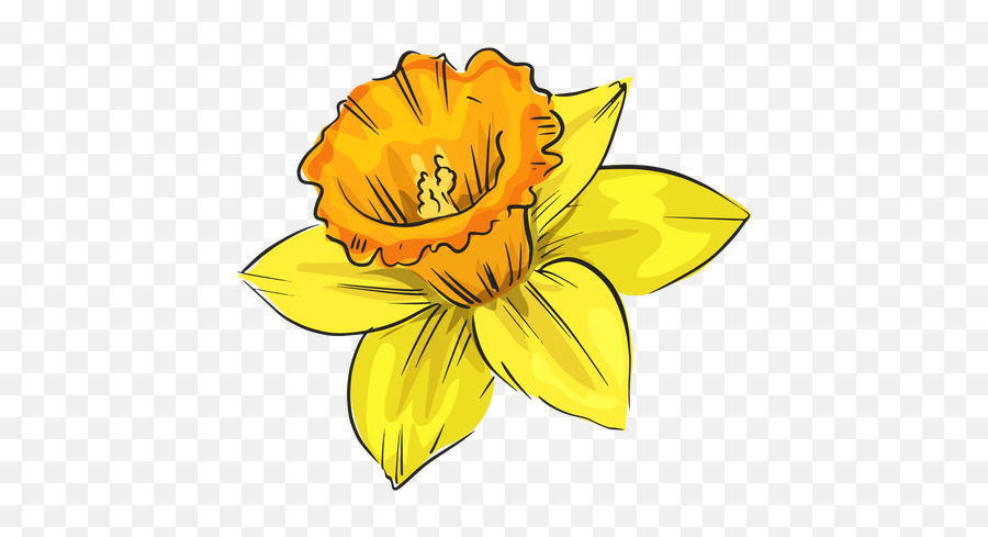 Narcissus Side Yellow Flower - Transparent Png U0026 Svg Vector File Flor Png De Lado,Daffodil Png