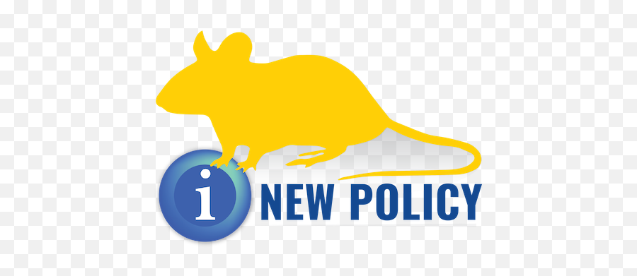 New Tumor Burden Policy For Rodents Announced Animal Care - Clip Art Png,Rodent Png
