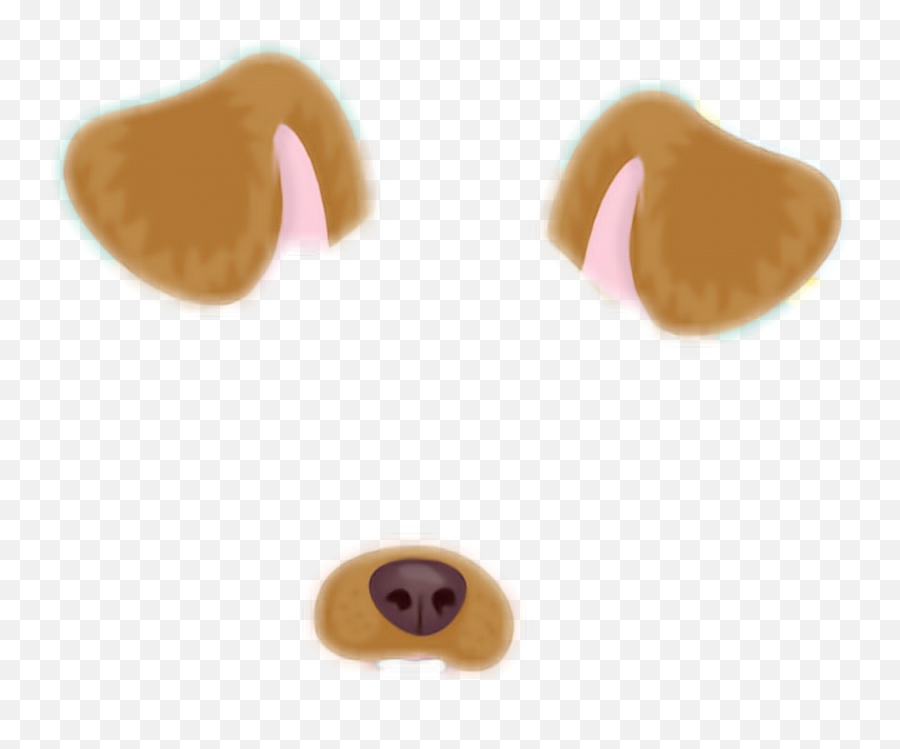 Dog Paddle Animal Doge Snapchat - Snapchat Png,Snapchat Heart Filter Png