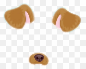 Dog Paddle Animal Doge Snapchat - png