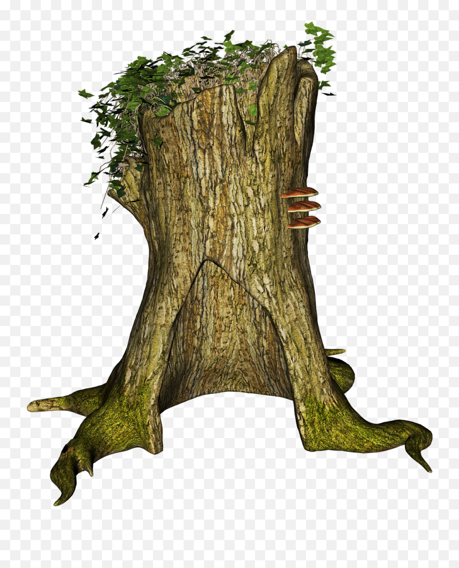 Tree Stump Rhizome Stubben - Troncos De Arbol Png,Stump Png