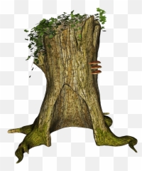 Tree Stump Rhizome Stubben - Troncos De Arbol Png,Stump Png