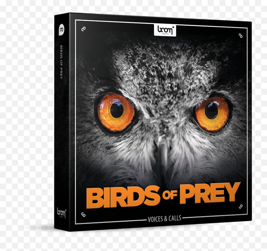 Download Birds Of Prey Sound Effects Library Product Box - Bird Of Prey Png,Prey Png