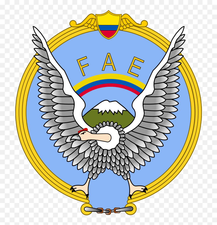 Ecuador Independence Day Archives - Glacierhub Fuerza Aerea Del Ecuador Escuela Png,Ecuador Flag Png