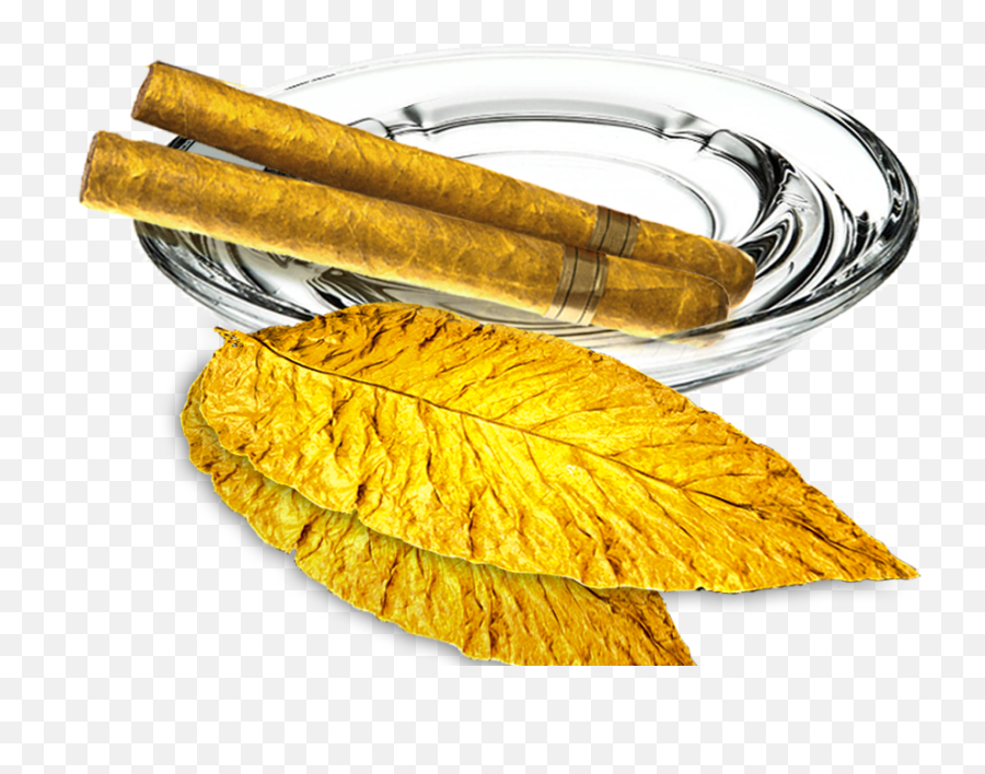 Traditional Tobacco E - Liquid U0026 Ecigarette Flavors Ecblend Electronic Cigarette Png,Lit Cigarette Png