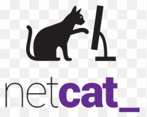 Scanning Ports With Netcat Nc Command - Netcat png