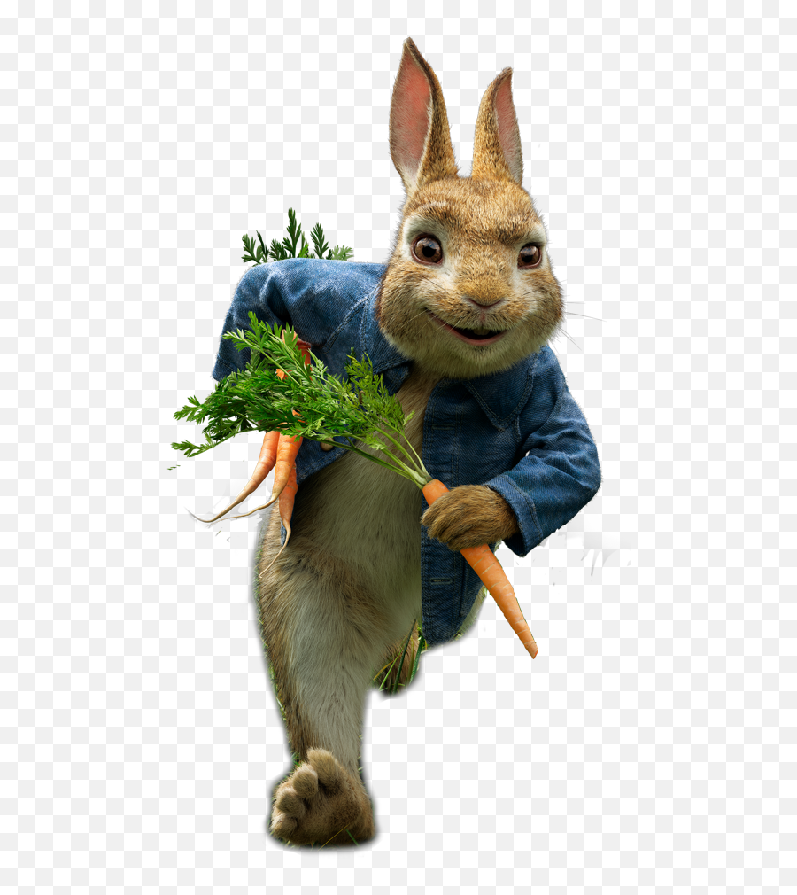 Peter Rabbit 2 Transparent Png Image - Peter Rabbit Transparent Png,Peter Rabbit Png