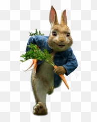 Peter Rabbit 2 Transparent Png Image - Peter Rabbit Transparent Png,Peter Rabbit Png