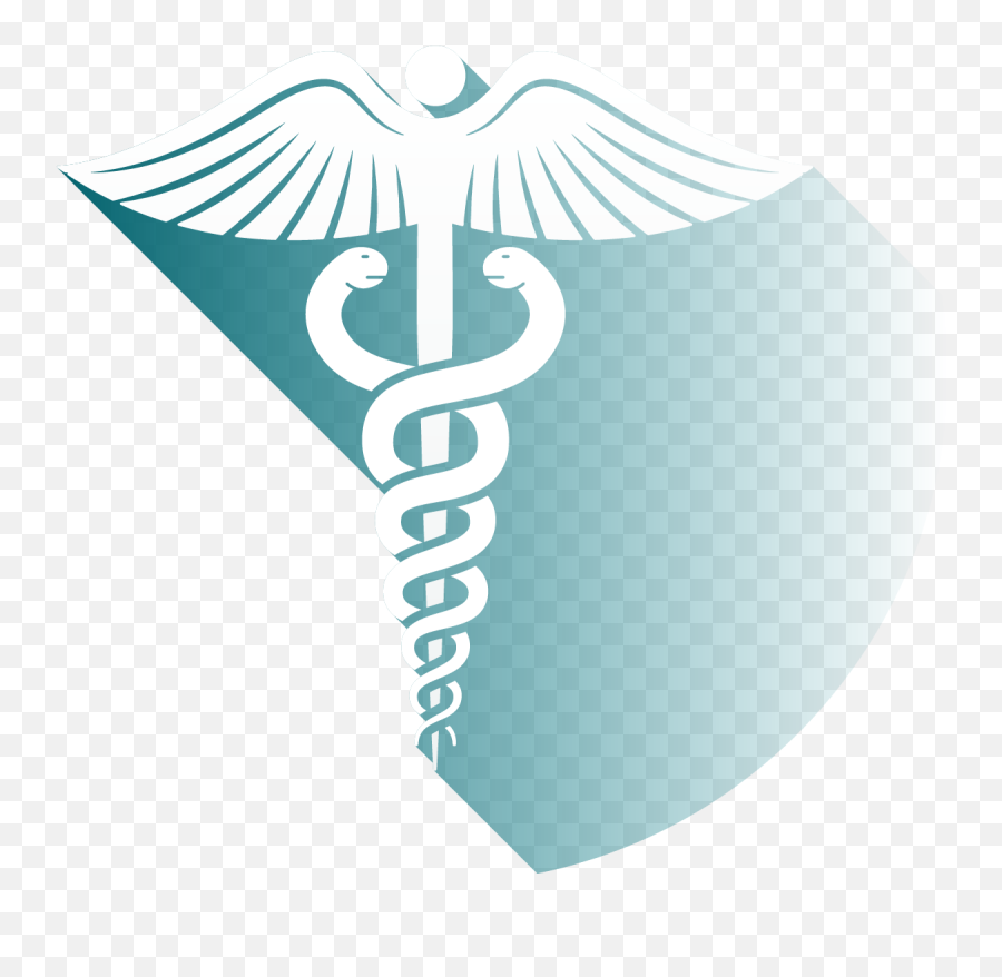 Download Hd Icon Medical - Emblem Transparent Png Image Vertical,Emblem Icon