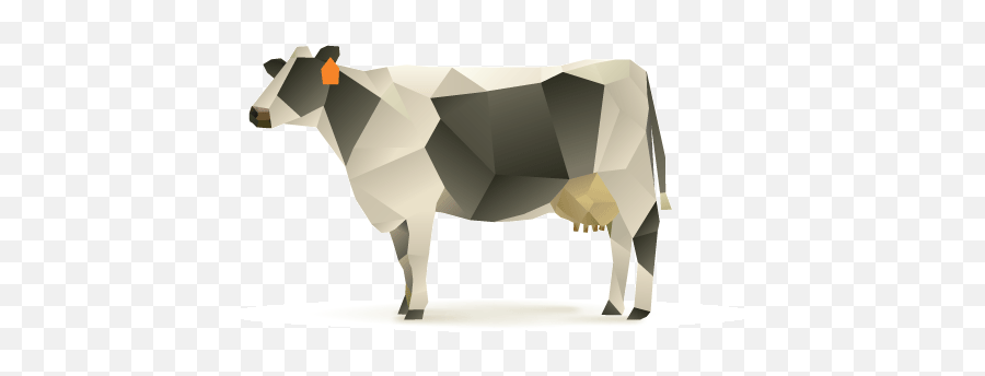 Kemtrace Chromium For Dairy Cattle - Animal Figure Png,Livestock Icon