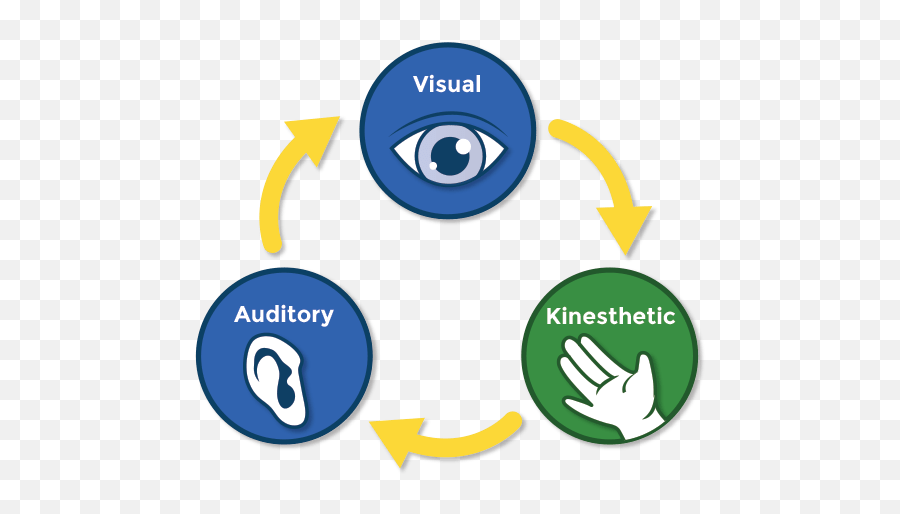 20 Activities For Kinesthetic Learning Free Downloads - 3 Main Pathways To The Brain Png,Mastery 7 Icon