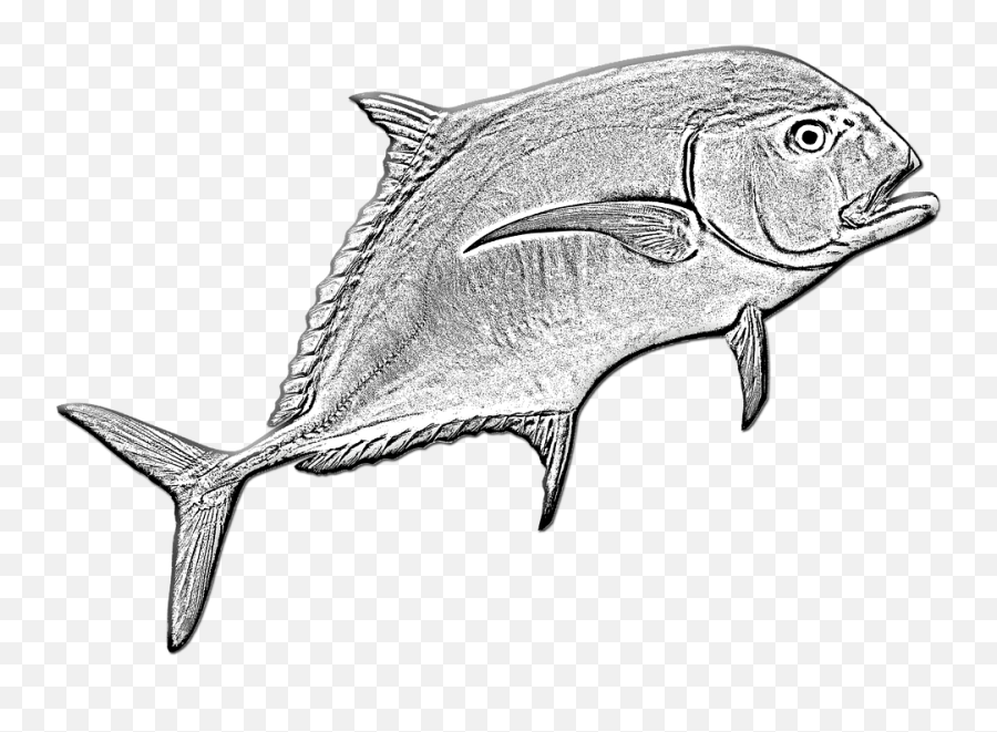 Transparent Ocean Fish Png