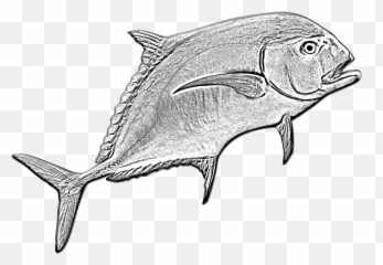 Transparent Ocean Fish Png