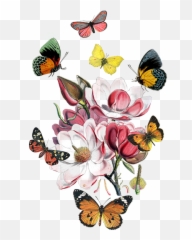 Magnolia With Butterflies Puzzle - Flowers Art png