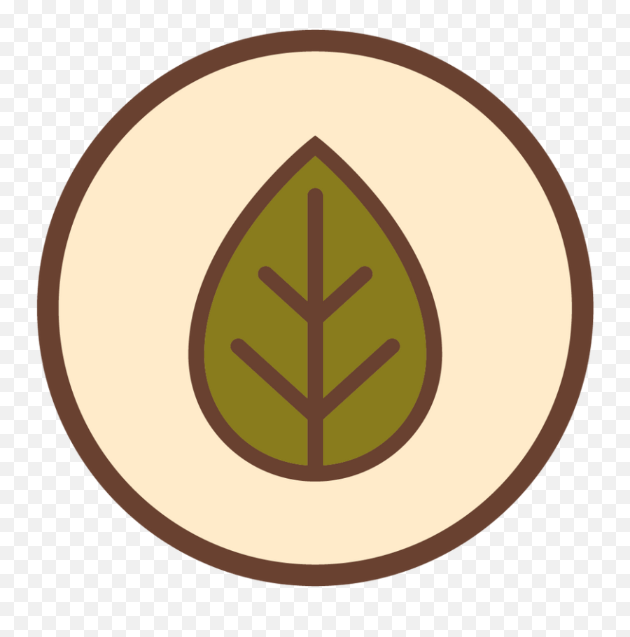 Mercado Avocado - Language Png,St Bernadette Icon