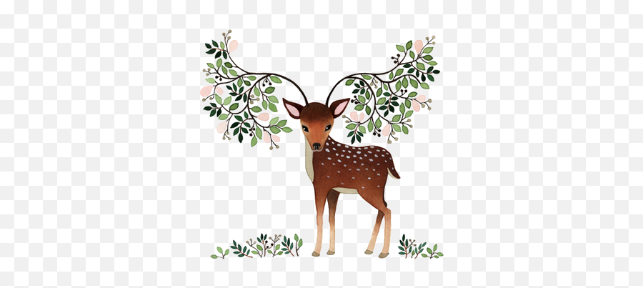 Deer - Freepngtransparentbackgroundimagesfreedownload Deer Png,Forest Transparent Background