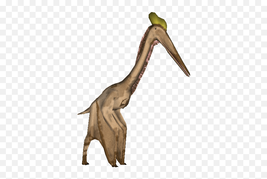 Pterosaurs Png Background Image - Zoo Tycoon 2 Quetzalcoatlus,Pterodactyl Png