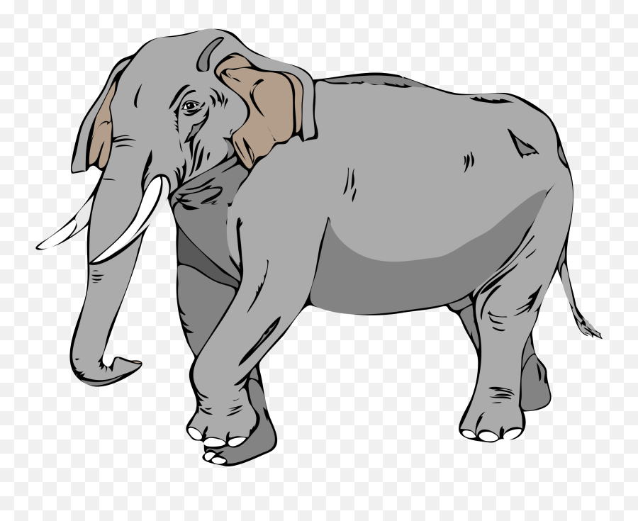Elefante Png - Elefant Clipart,Elephant Clipart Transparent