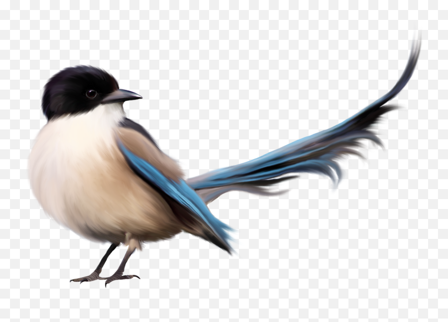 Single Bird Png Image - Decoración De Hojas De Cuaderno,Birds Png