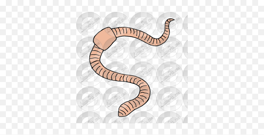 Earthworm Picture For Classroom Therapy Use - Great Earthworm Png,Earthworm Png