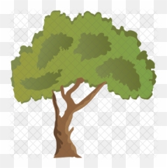 Paperbark Maple Tree Icon Of Flat Style 1176554 - PNG Restaurante Marisco