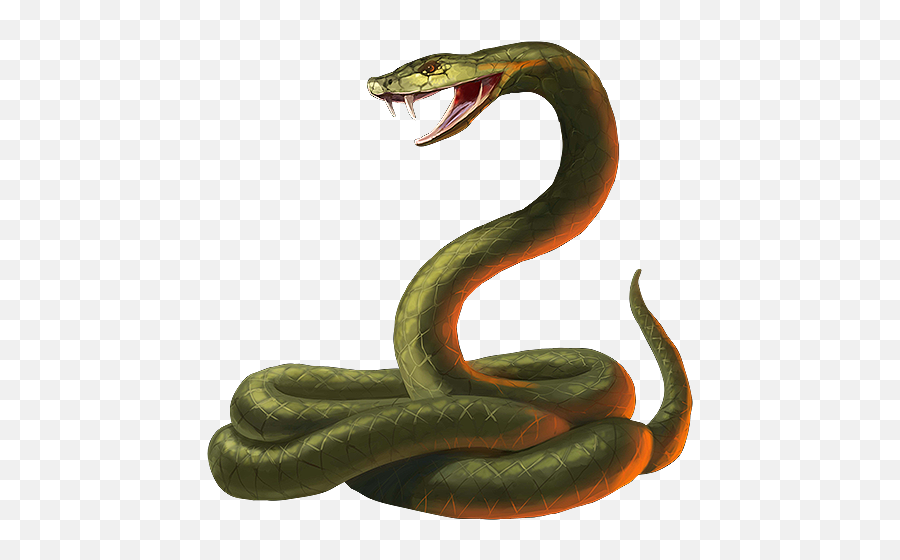 Download Snake Transparent - Cobra Snake Transparent Background Png,Snake Transparent Background