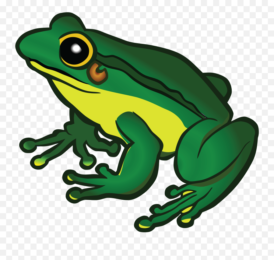 Frog Clipart - Frog Clipart Png,Frog Clipart Png
