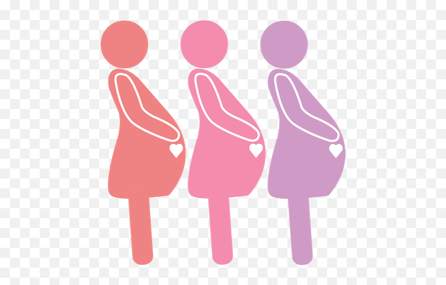 Impact Of Obesity - Fetal And Maternal Health Png,Fetus Png