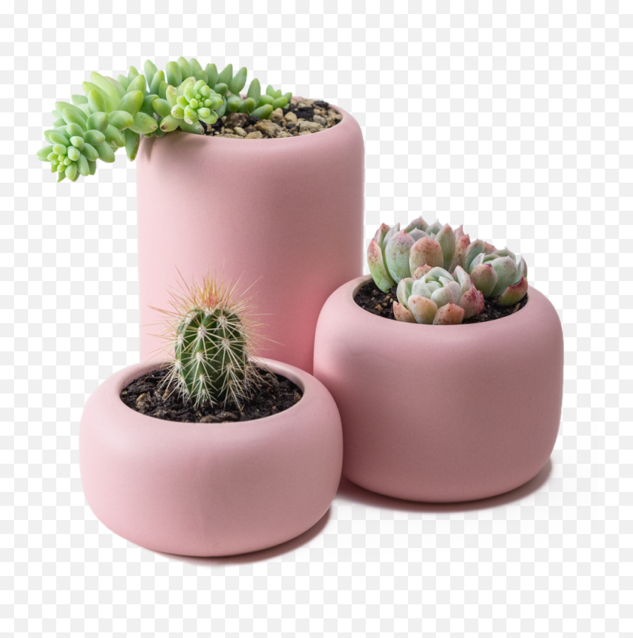 Ceramic Plant Pot Set - Flowerpot Png,Flower Pot Png