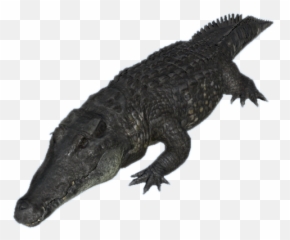 Black Caiman - Official Green Hell Wiki Black Caiman Png,Alligator Png