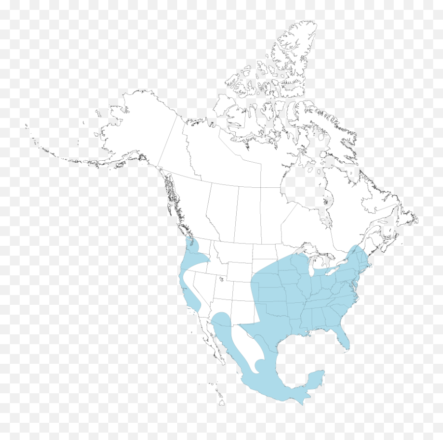 Poultrydvm Predator Profile Opossum - Untitled Map North America Png,Opossum Png