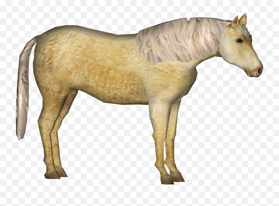 Mustang Horse Transparent Png - Mane,Mustang Horse Png