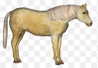 Mustang Horse Transparent Png - Mane
