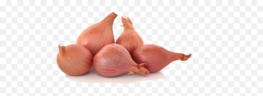 Shallots Png Transparent Images Free Clipart Vectors Psd - Shallots Walmart,Pearl Transparent Background