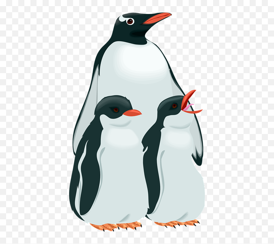Penguins Png - Penguin Family Png 3535433 Vippng Pinguinos Clipart,Penguins Png