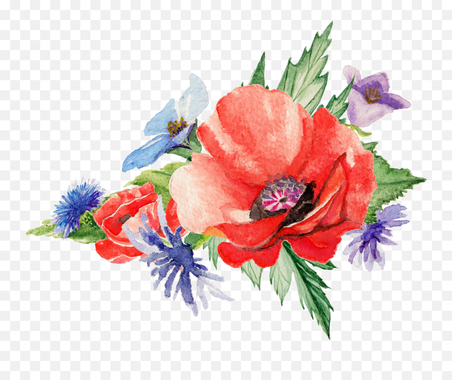 Flowers Poppy Art Painting Transprent Png Free - Watercolor,Poppies Png