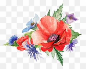 Flowers Poppy Art Painting Transprent Png Free - Watercolor,Poppies Png