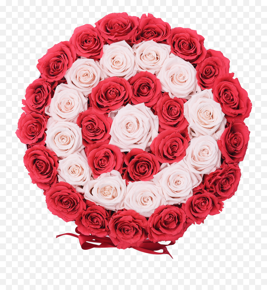 Pink Baby Real Roses - Necklace Png,Real Rose Png