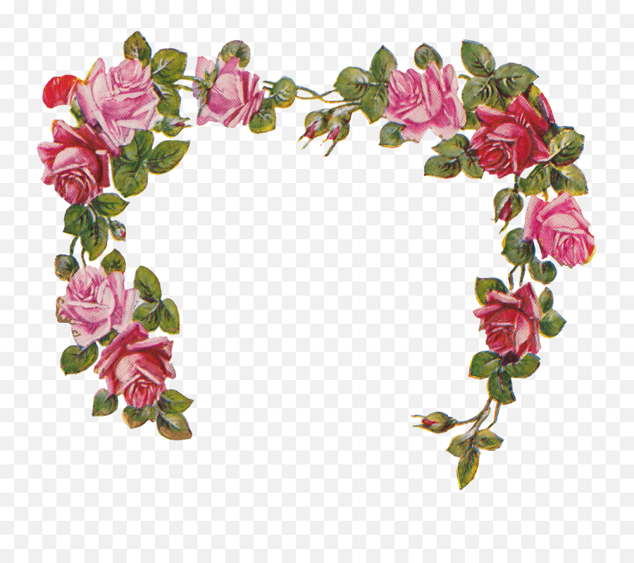 Library Of Rose Heart Flower Clipart Png Files - Flower Frame No Background,Rose Clipart Transparent Background