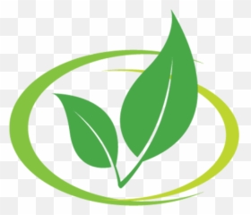 Cropped - siteiconpng Language