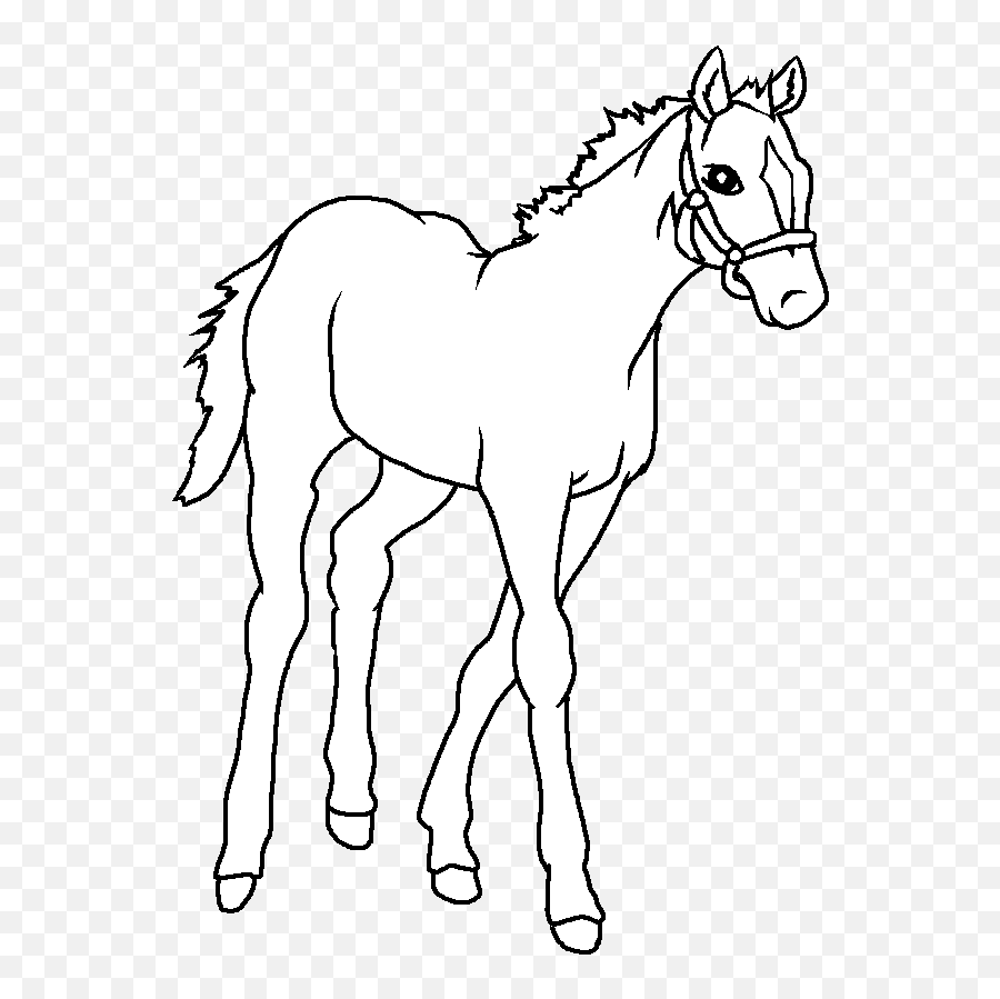 Baby Horse Png - Baby Horse Drawing Images U0026 Pictures Draw Baby Draw Horse,White Horse Png