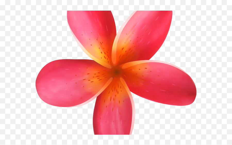 Exotic Clipart Moana Pink Flower Png Tropical Moana Png Transparent Free Transparent Png Images Pngaaa Com