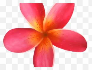 Exotic Clipart Moana - Pink Flower Png Tropical,Moana Png Transparent