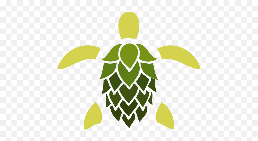 Contact Salty Turtle Beer Co - Salty Turtle Beer Company Png,Green Beer Icon