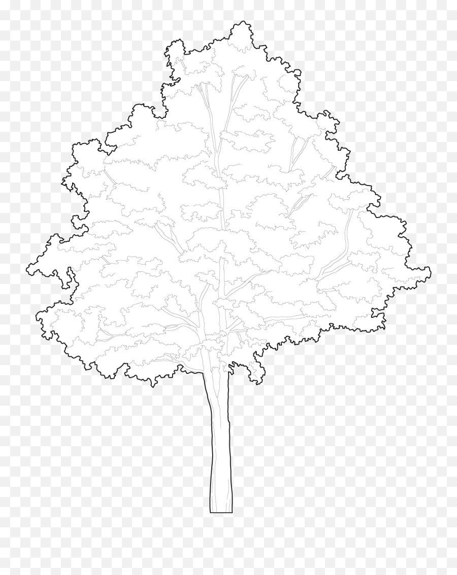 Trees Dwg Cad Blocks Free Download Pimpmydrawing - Tree Ai Vector Png,Wagon Wheel Icon In Autocad