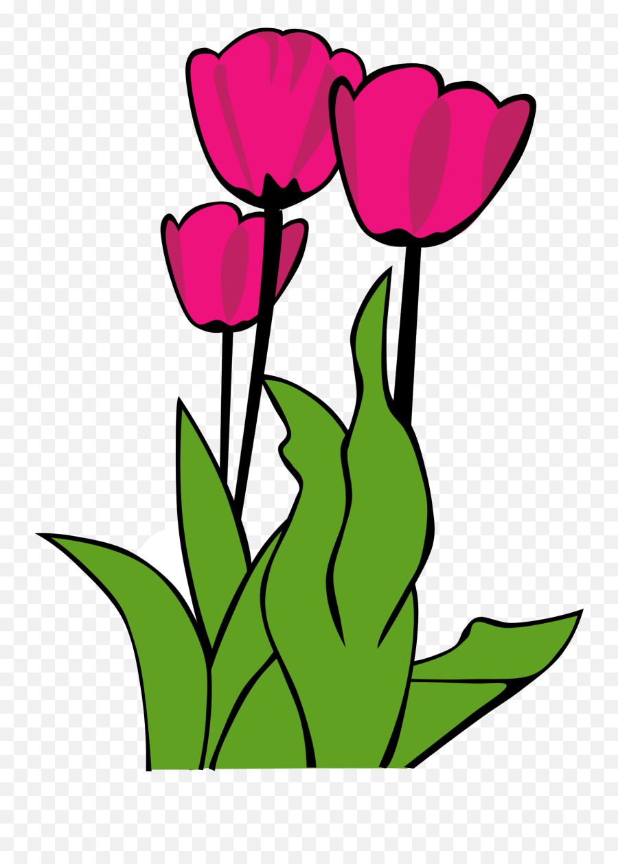 Flowers Clipart Tulip Transparent Free For - Flower Clip Art Tulips Png,Tulip Transparent