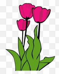 Flowers Clipart Tulip Transparent Free For - Flower Clip Art Tulips Png,Tulip Transparent