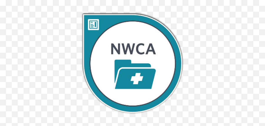 Professionalism In Healthcare - Credly Language Png,Professionalism Icon